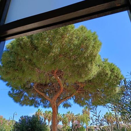 Da Cappellini Bed & Breakfast Isola delle Femmine Luaran gambar