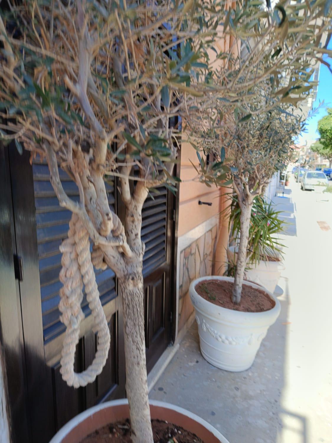 Da Cappellini Bed & Breakfast Isola delle Femmine Luaran gambar