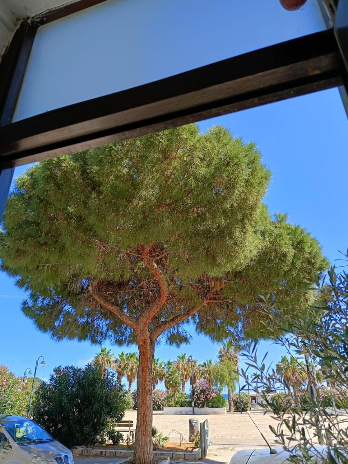 Da Cappellini Bed & Breakfast Isola delle Femmine Luaran gambar